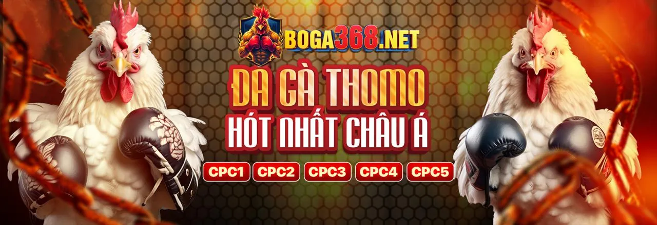 Hoàn trả thể thao tp88 chính thức